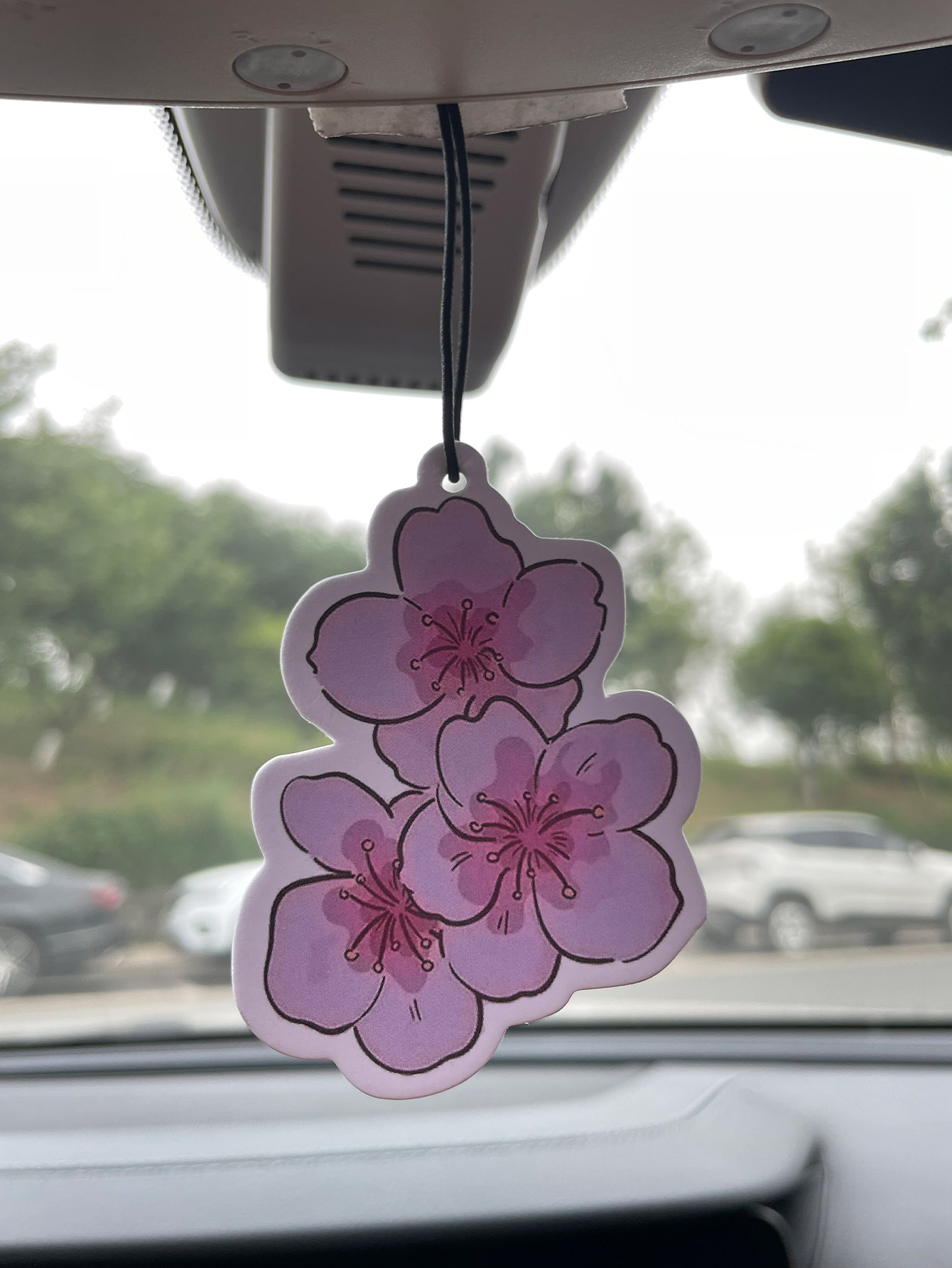 Home Fragrance Logo - Parfum de voiture neutre cinq étoiles
