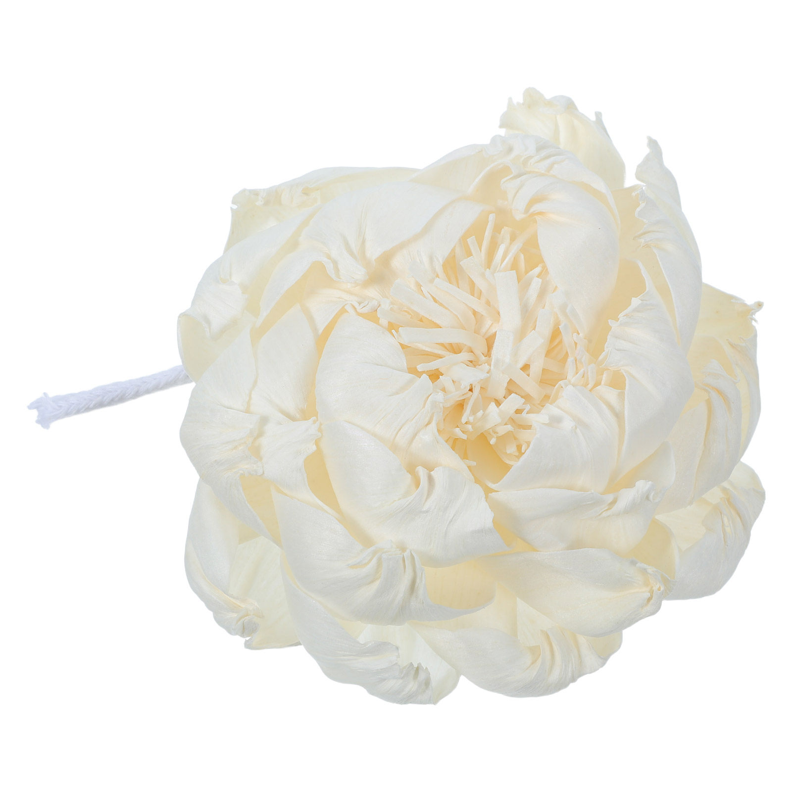 Diffuseur de parfum tête de pi - Home Fragrance Usa avis et prix