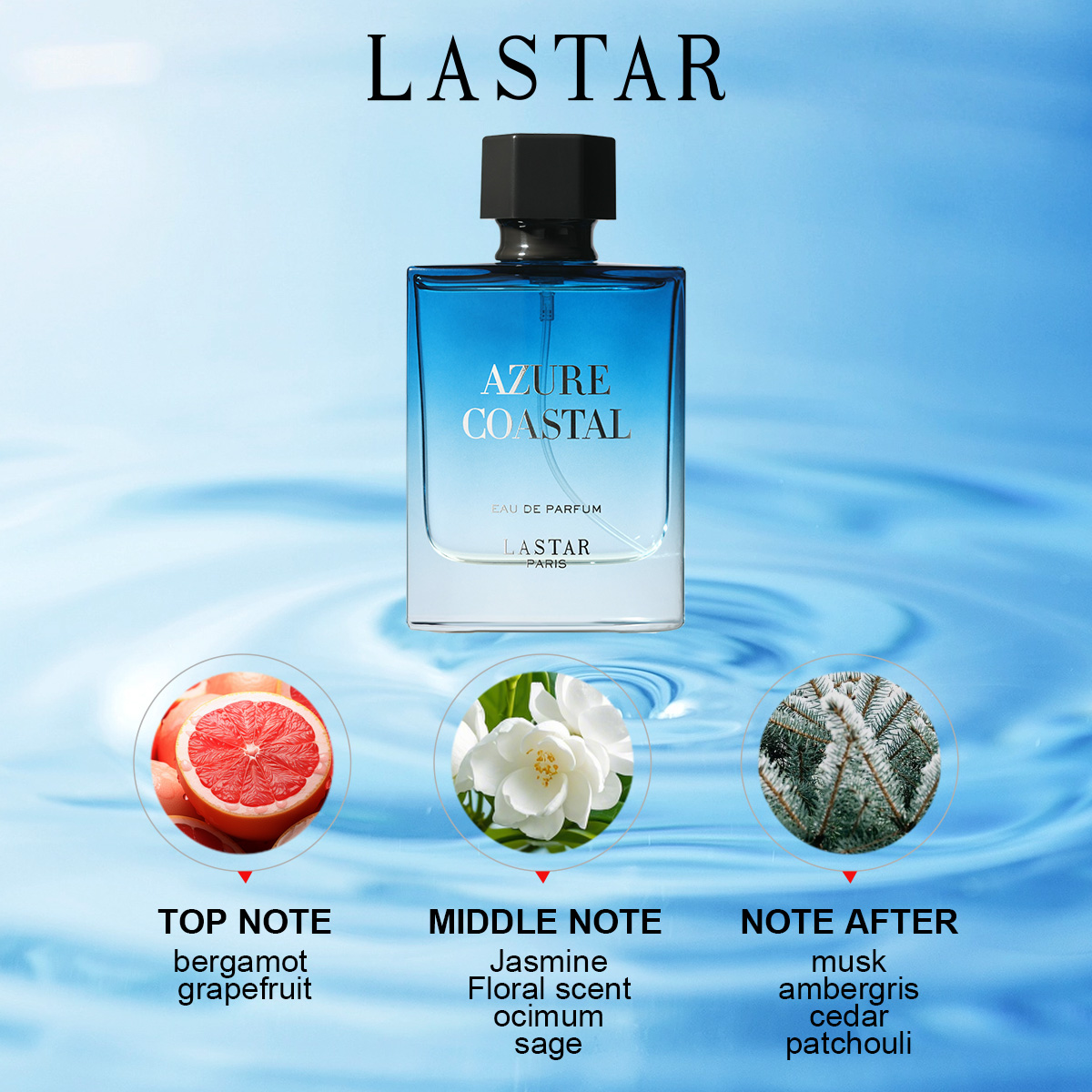 Parfum pour homme LASTAR, deux - Home Fragrance Gift avis et prix
